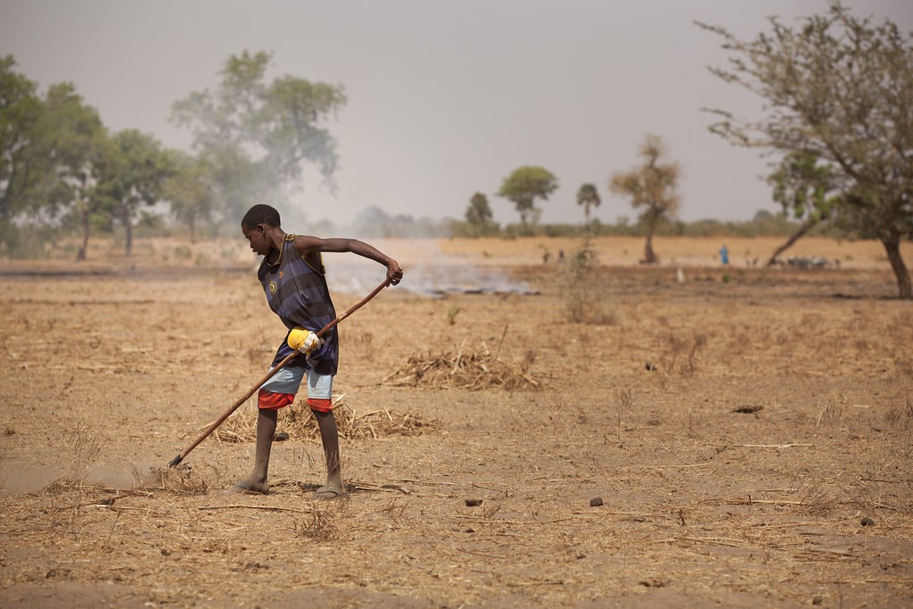 land degradation and desertification