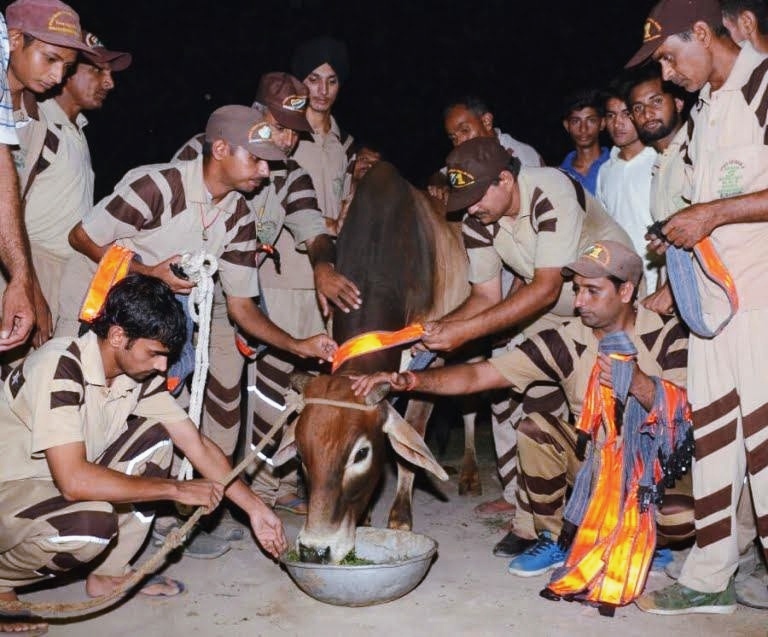 Animal welfare