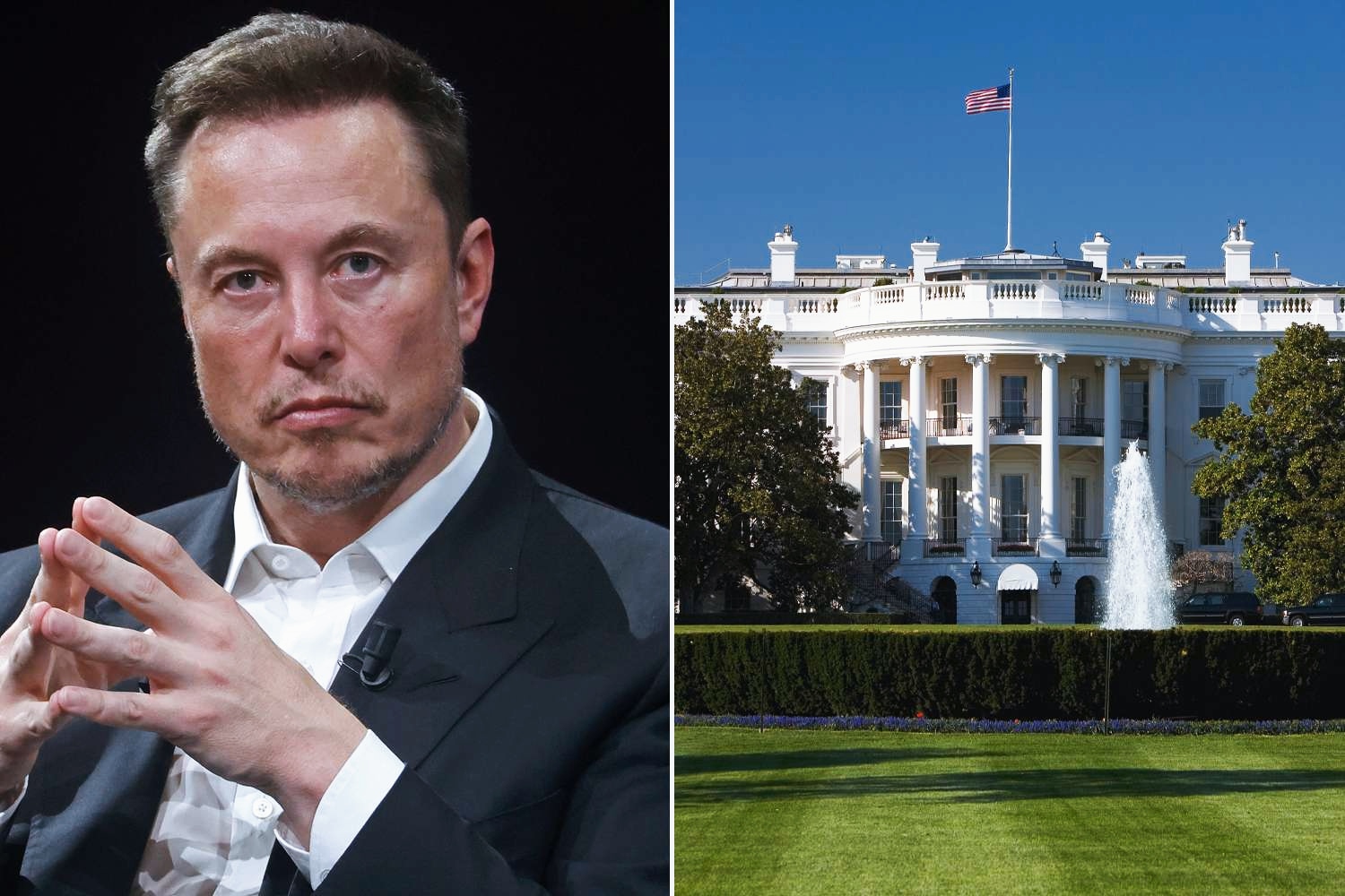 Elon and White House