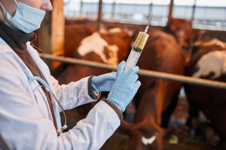 animal health and disease control