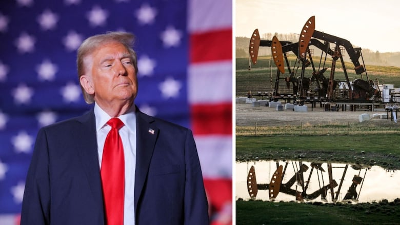 US Stops Buying Oil