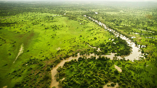 Aravalli Green Wall Project