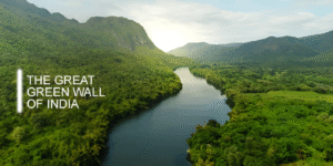 Aravalli Green Wall Project