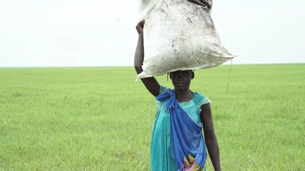 Humanitarian Crisis and Food Aid