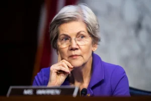 Elizabeth Warren federal audits