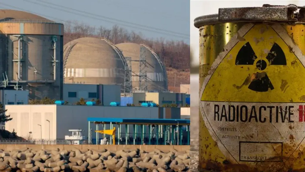 Poland's Nuclear Project