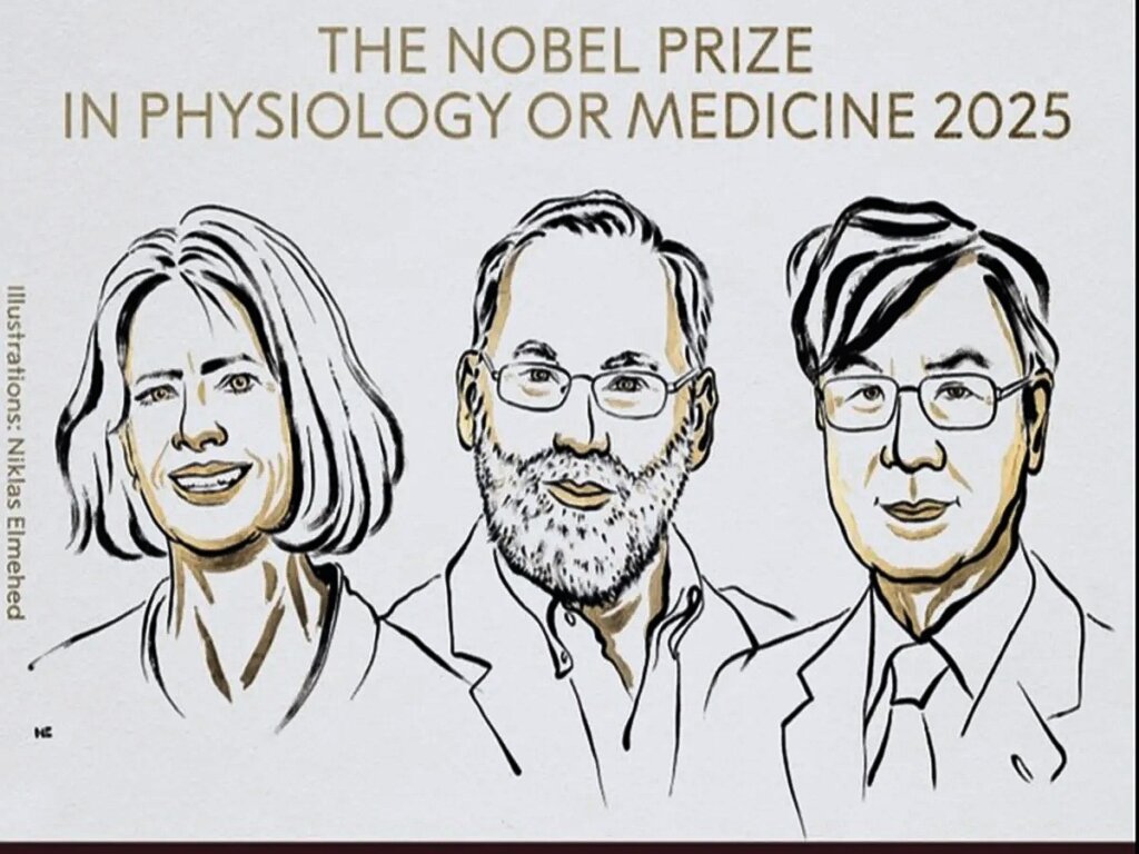 2025 Nobel Prize in Medicine Awarded