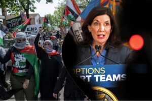 Fire Hochul Save New York