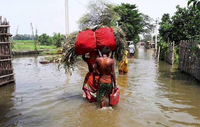 Bihar Flood Agriculture Damage