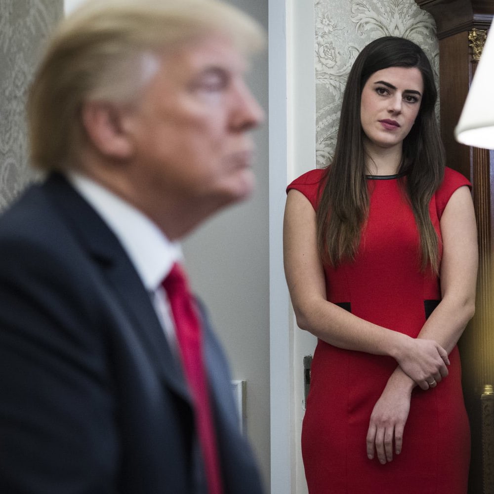 Epstein Investigation Files