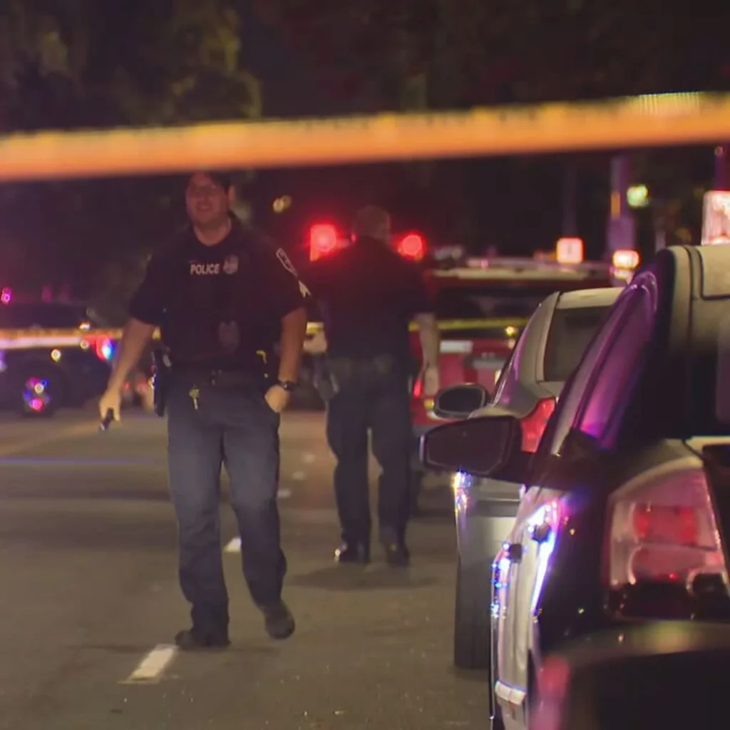 Crime Control in America