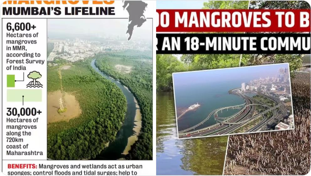 India Coastal Ecosystem Restoration
