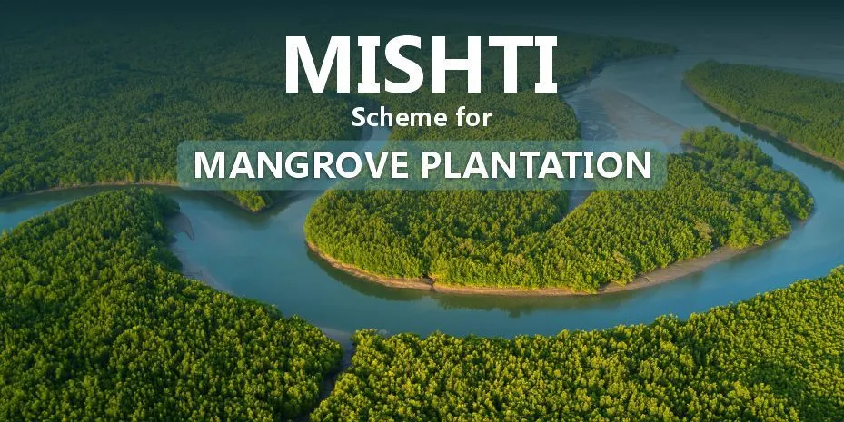India Coastal Ecosystem Restoration