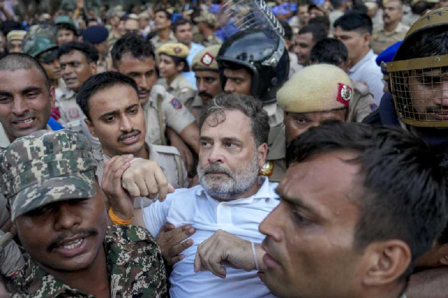 Rahul Gandhi Delhi Protest
