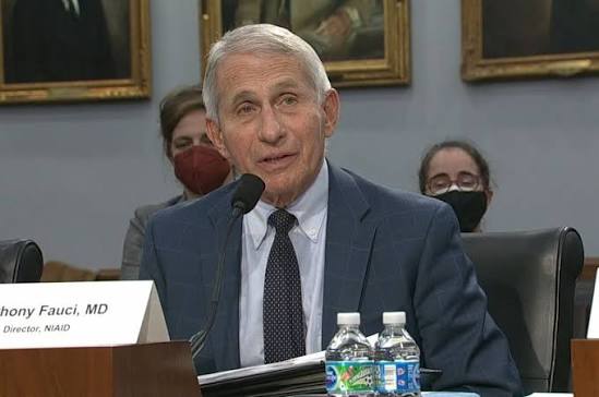 Bernie Moreno Fauci Hearing