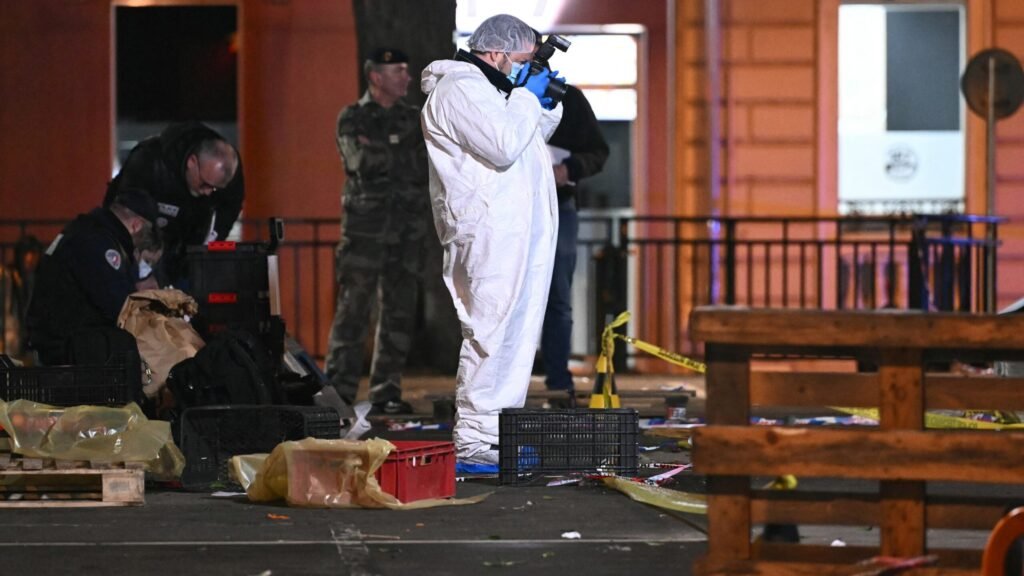 Toulouse police officers stabbed